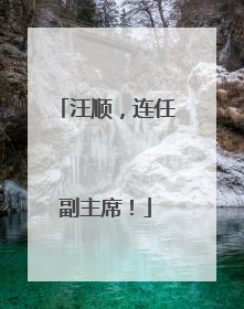汪顺，连任副主席！